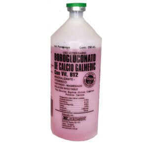 Borogluconato de Calcio Galmedic con Vit B12 Frasco por 250 ml.