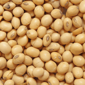 Soya